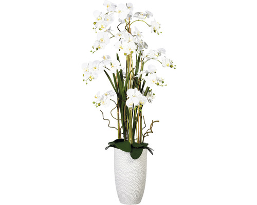 Plante artificielle Phalaenopsiarrangem h 160 cm blanc