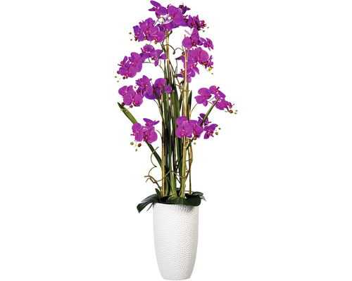 Plante artificielle arrangement Phalaenopsis h 160 cm violet