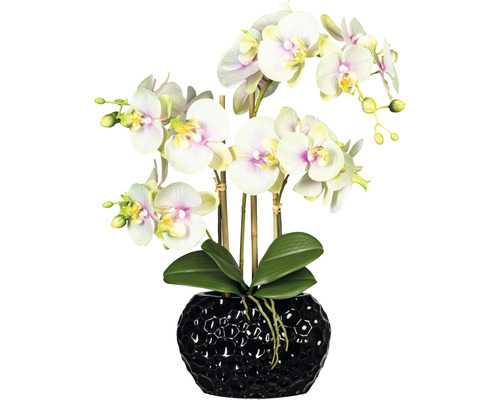 Kunstpflanze Phalaenopsis H 55 cm grün