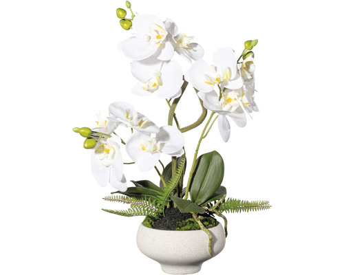 Plante artificielle orchidée h 50 cm blanc