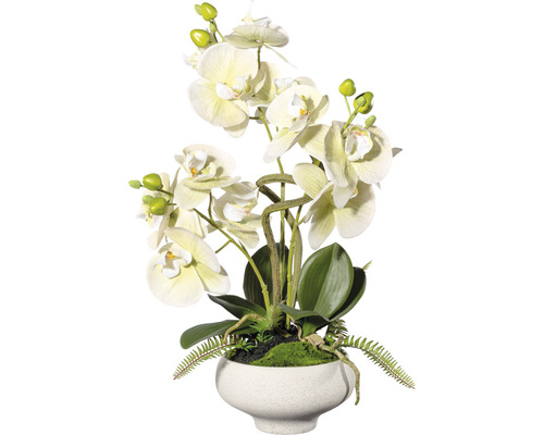 Plante artificielle orchidée h 50 cm vert