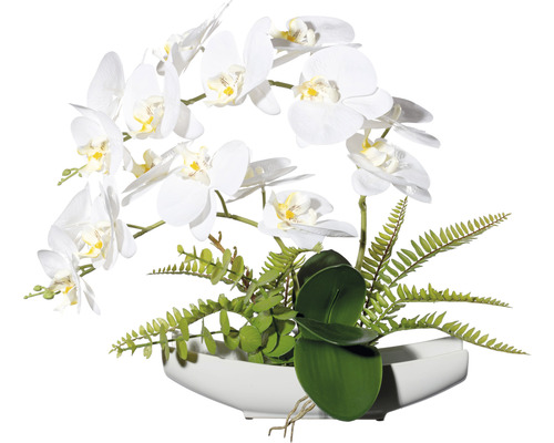 Plante artificielle orchidée h 40 cm blanc
