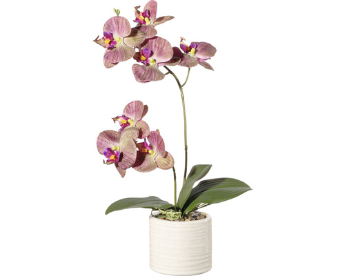 Plante artificielle orchidée h 45 cm vert