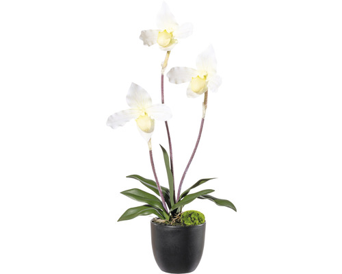 Plante artificielle orchidée h 45 cm crème