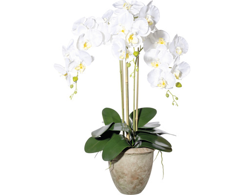 Plante artificielle orchidée h 75 cm blanc