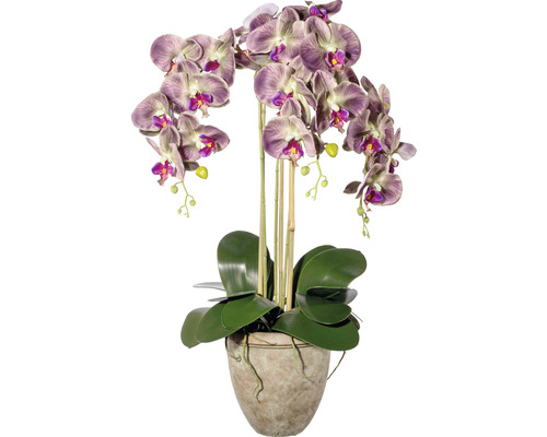 Plante artificielle orchidée h 75 cm vert