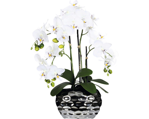 Plante artificielle Phalaenopsis h 55 cm blanc