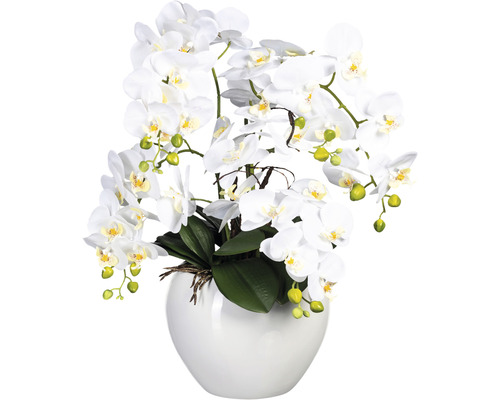 Plante artificielle Phalaenopsis h 56 cm blanc