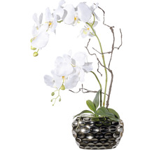 Dekorative Orchidee in silberfarbenem Topf