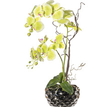 Gelbe Orchidee in einem silberfarbenen Übertopf als Dekoration