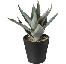 Plante artificielle d''aloe vera en pot