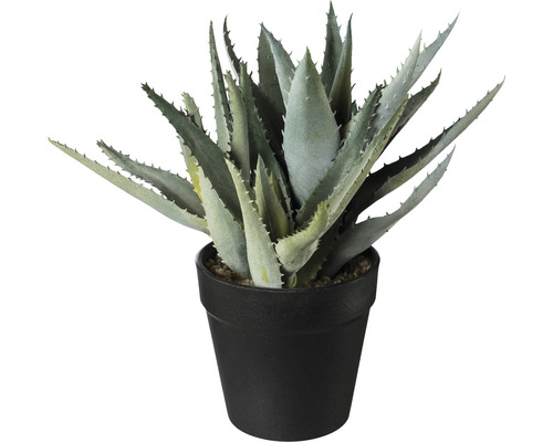 Kunstpflanze Aloe im Topf H 23 cm grün