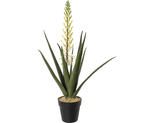 Plante artificielle Aloe avec fleurs H 65 cm vert