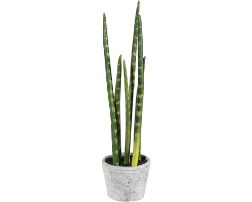 Kunstpflanze Sanserveria H 40 cm grün