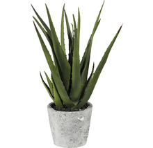 Aloe Vera Kunstpflanze im Topf