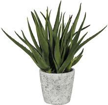 Aloe Vera Kunstpflanze im Topf
