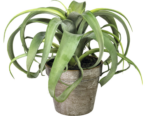 Kunstpflanze Tillandsie H 24 cm grün