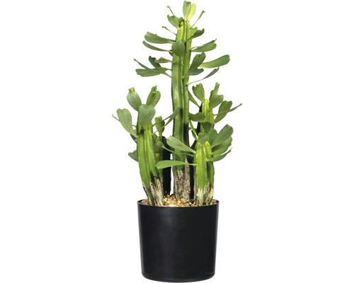 Plante artificielle euphorbe h 40 cm vert