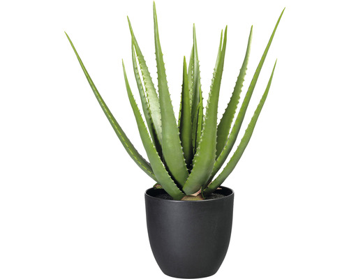 Plante artificielle Aloe H 55 cm vert