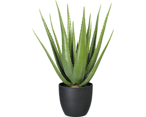 Plante artificielle Aloe H 66 cm vert