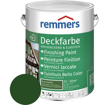 Remmers peinture couvrante vert feuille en pot