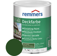 Remmers peinture couvrante couleur feuille verte, en pot