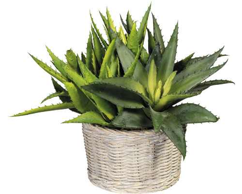 Kunstpflanze Sanserveria H 70 cm grün