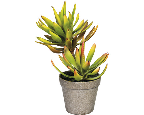 Plante artificielle Aloe Plicatilis H 30 cm vert