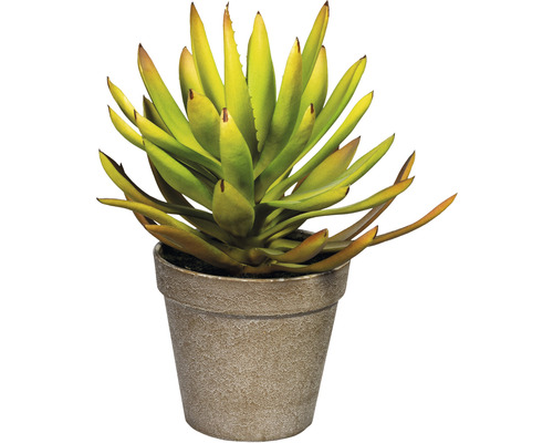 Kunstpflanze Aloe Plicatilis H 24 cm grün