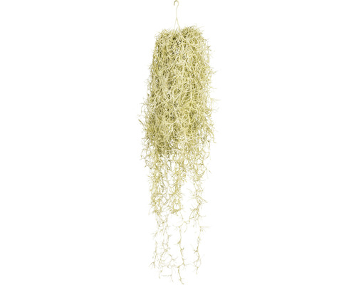 Plante artificielle Tillandsia h 80 cm vert