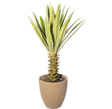 Agave artificielle en pot comme décoration intérieure