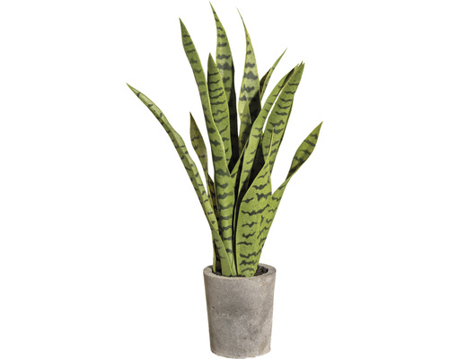 Kunstpflanze Sanserveria H 60 cm grün