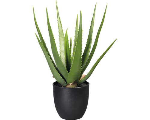 Plante artificielle Aloe H 47 cm vert