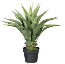 Künstliche Agave in einem schwarzen Topf