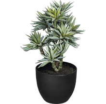 Künstliche Agave in einem schwarzen Topf