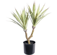 Kunstpflanze Agave in schwarzem Topf