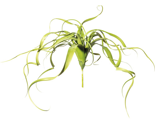 Plante artificielle Tillandsia suspendu h 32 cm vert