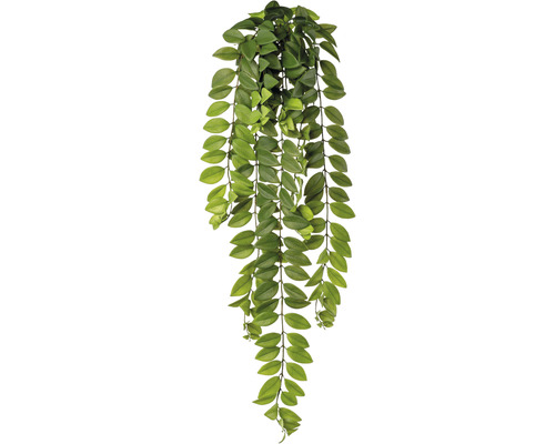 Kunstpflanze Columneaaranke H 85 cm grün