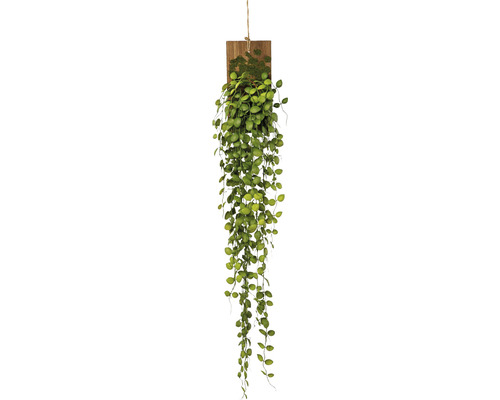 Plante artificielle Muehlenbeckia vrille h 123 cm vert
