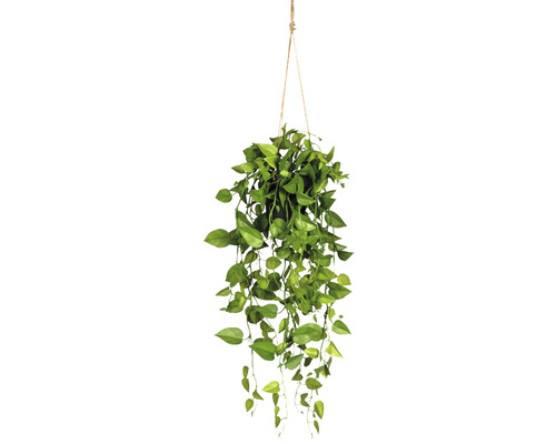 Kunstpflanze Philodendronhänger H 75 cm grün