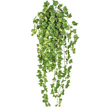 Fausse plante de lierre avec des feuilles vertes.