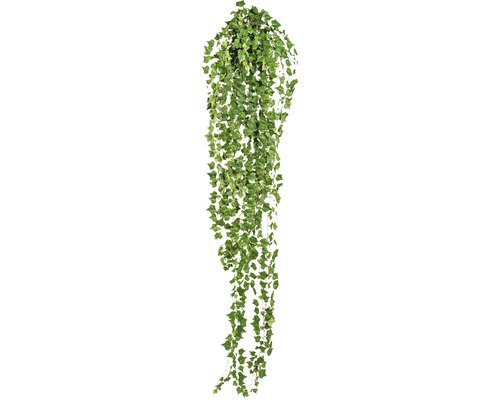 Plante artificielle lierre suspendu h 180 cm vert