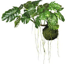 Monstera Kunstpflanze mit Moosball und herabhängenden Ranken