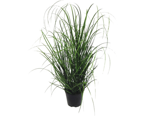 Plante artificielle buisson d'herbe h 60 cm vert