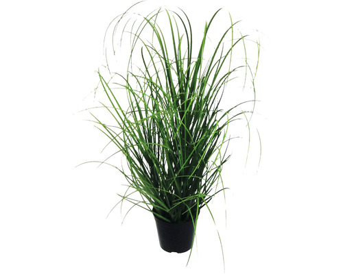 Kunstpflanze Grasbusch H 75 cm grün