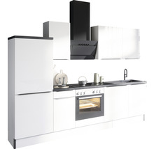 Cuisine complète avec réfrigérateur, évier, hotte aspirante et cuisinière électrique