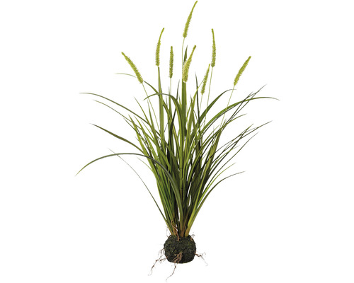 Plante artificielle Miscanthus h 75 cm vert