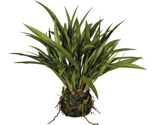 Plante artificielle Miscanthus h 35 cm vert
