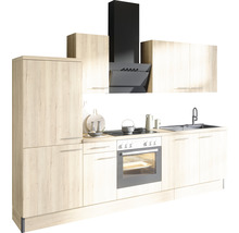 Cuisine intégrée moderne avec évier, cuisinière, four et hotte aspirante.