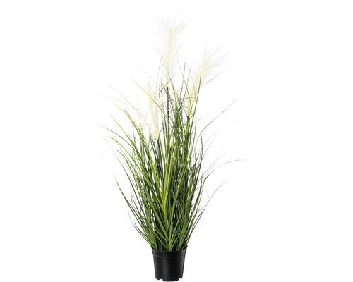 Plante artificielle herbe de la pampa h 76 cm crème